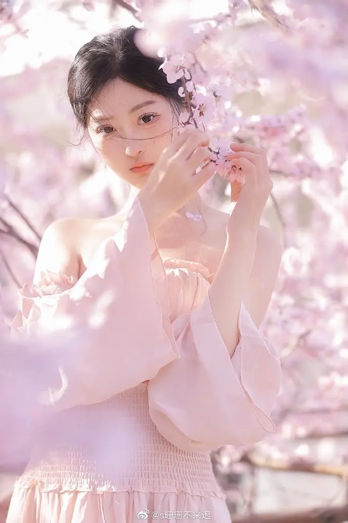 12星座性格分析图表